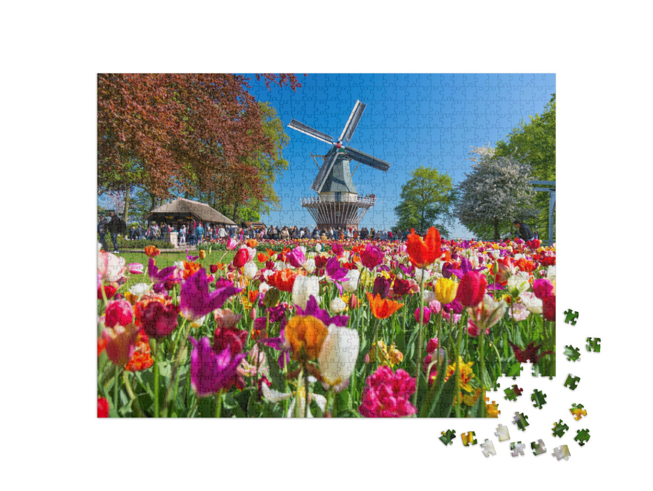 Puzzle 1000 Teile „Tulpengarten nd Windmühe in Lisse, Holland, Niederlande“