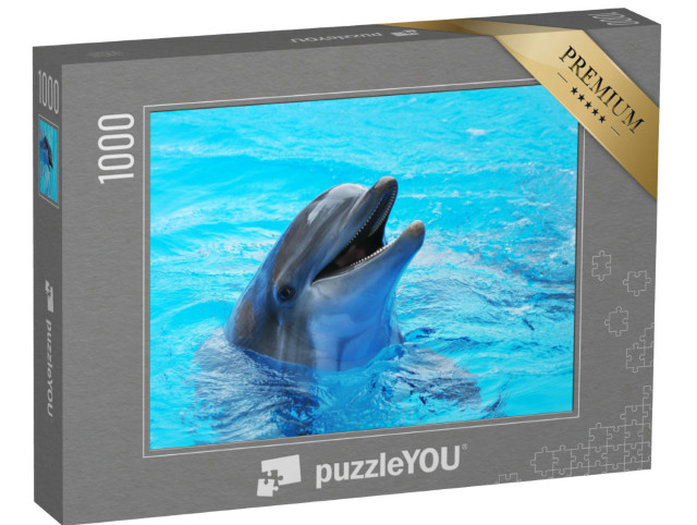 Puzzle 1000 Teile „Delphine in einem Pool“