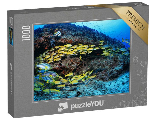 Puzzle 1000 Teile „Schönes tropisches Korallenriff mit bunten Fischen im Indischen Ozean“