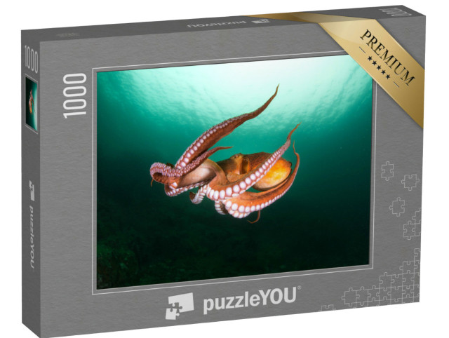 Puzzle 1000 Teile „Flug der Tintenfische in der Tiefsee, türkisfarbenes Meer“