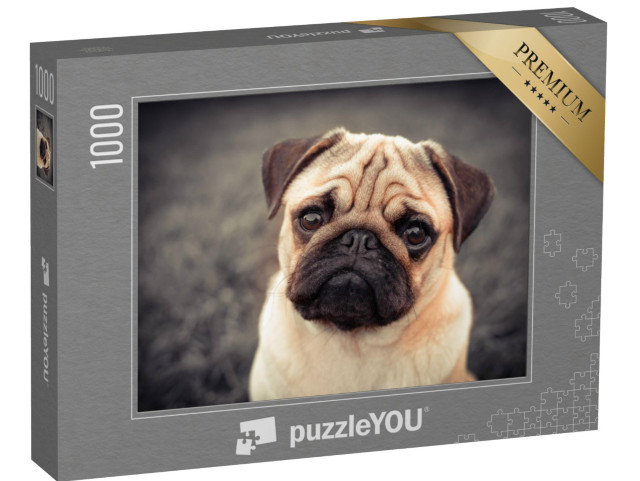 Puzzle 1000 Teile „Porträt: Mops-Welpe“