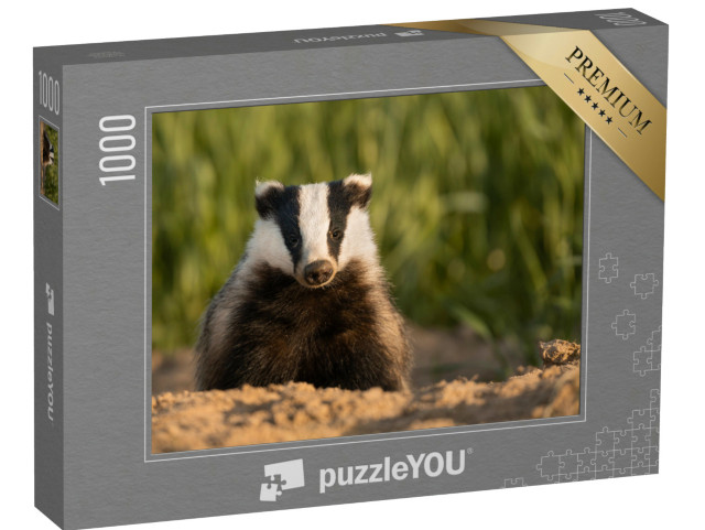 Puzzle 1000 Teile „Europäischer Dachs nach dem Verlassen des Baues“