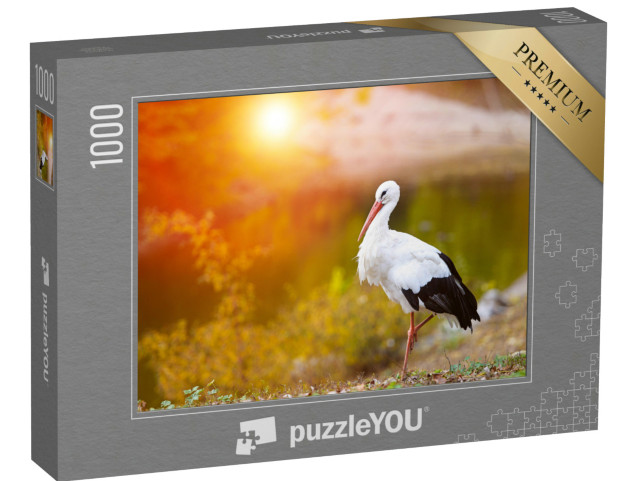Puzzle 1000 Teile „Weißstorch im Abendlicht“