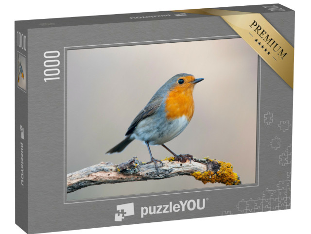 Puzzle 1000 Teile „Neugieriges Rotkehlchen“