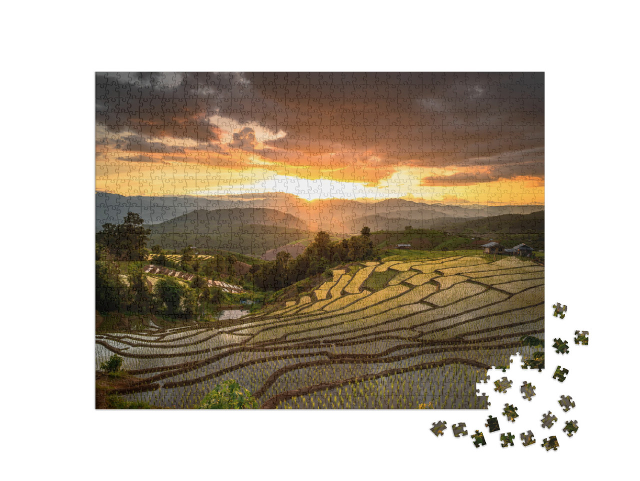Puzzle 1000 Teile „Reisfelder bei Sonnenuntergang, Chiang Mai, Thailand“