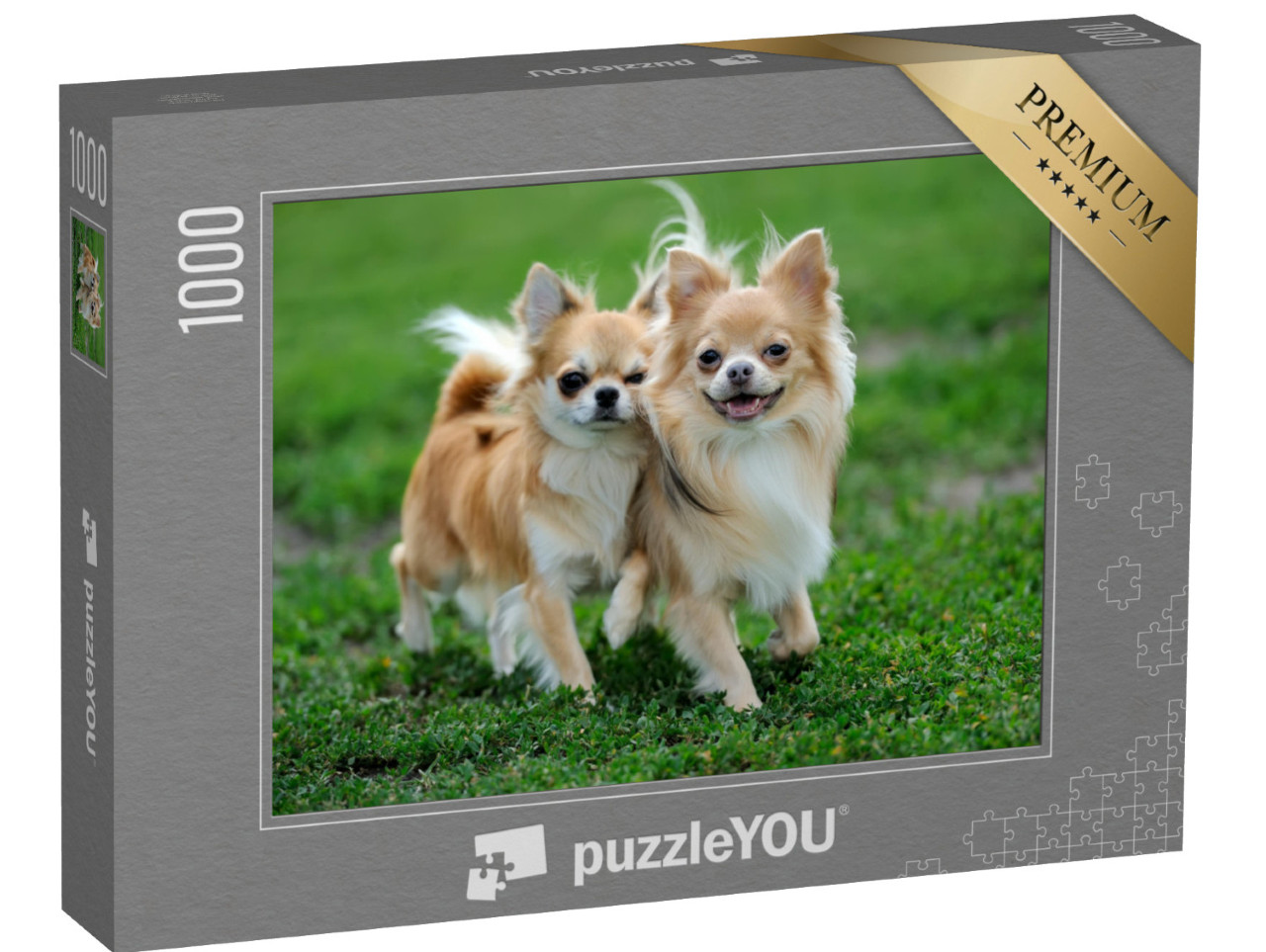 Puzzle 1000 Teile „Zwei langhaarige Chihuahua-Hunde im grünen Sommergras“