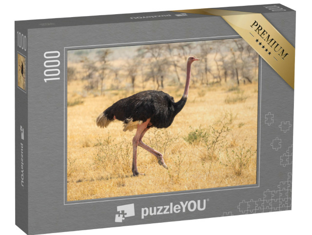 Puzzle 1000 Teile „Straußenwanderung, Safari, Steppe in Afrika“