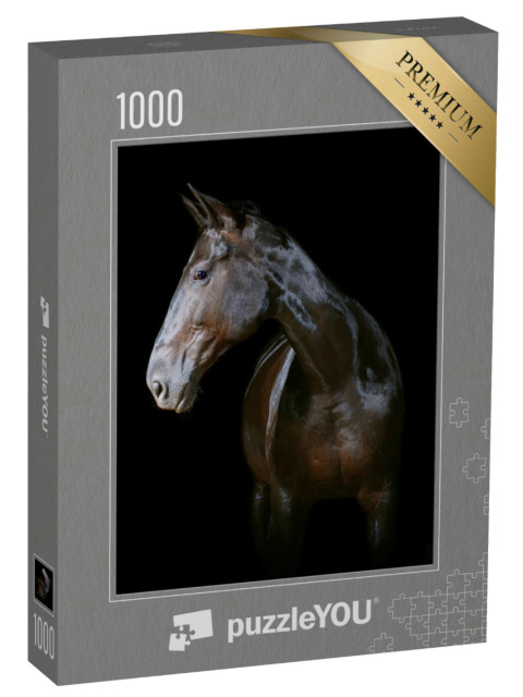 Puzzle 1000 Teile „Dunkles Pferd auf schwarzem Hintergrund“