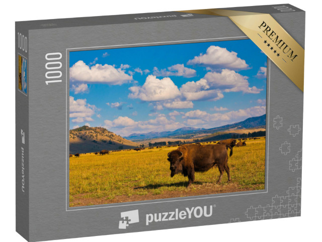 Puzzle 1000 Teile „Freiheit für Bisons im Yellowstone-Nationalpark, USA“