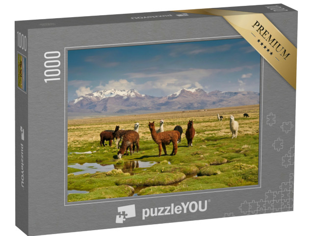 Puzzle 1000 Teile „Lamas in den Anden“