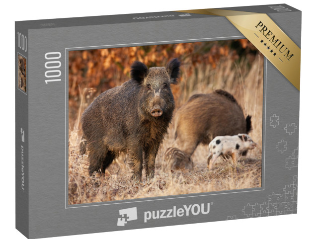 Puzzle 1000 Teile „Gefährliches Wildschwein, sus scrofa, das seine jungen Frischlinge beschützt“