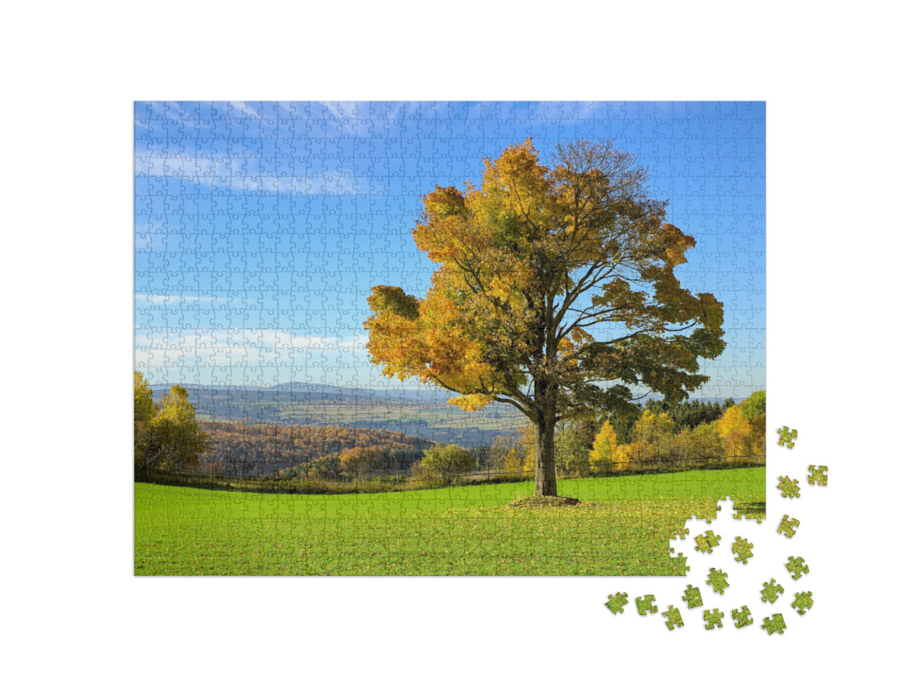 Puzzle 1000 Teile „Herbstlicher Baum im Erzgebirge, Deutschland“