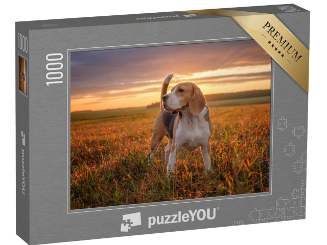 Puzzle 1000 Teile „Beagle geht Gassi nach dem Regen im Sommer“