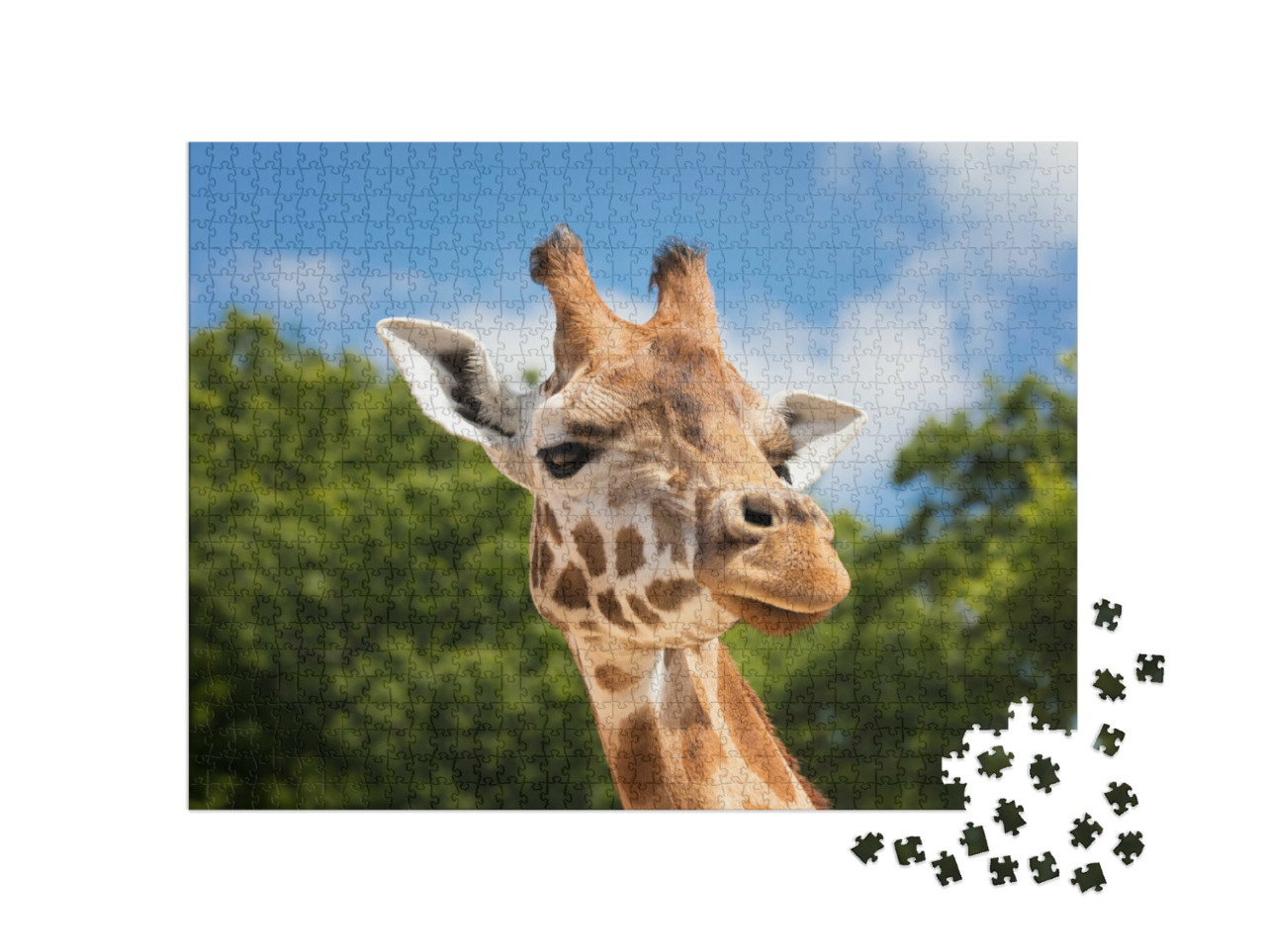 Puzzle 1000 Teile „Neugierige Giraffe“