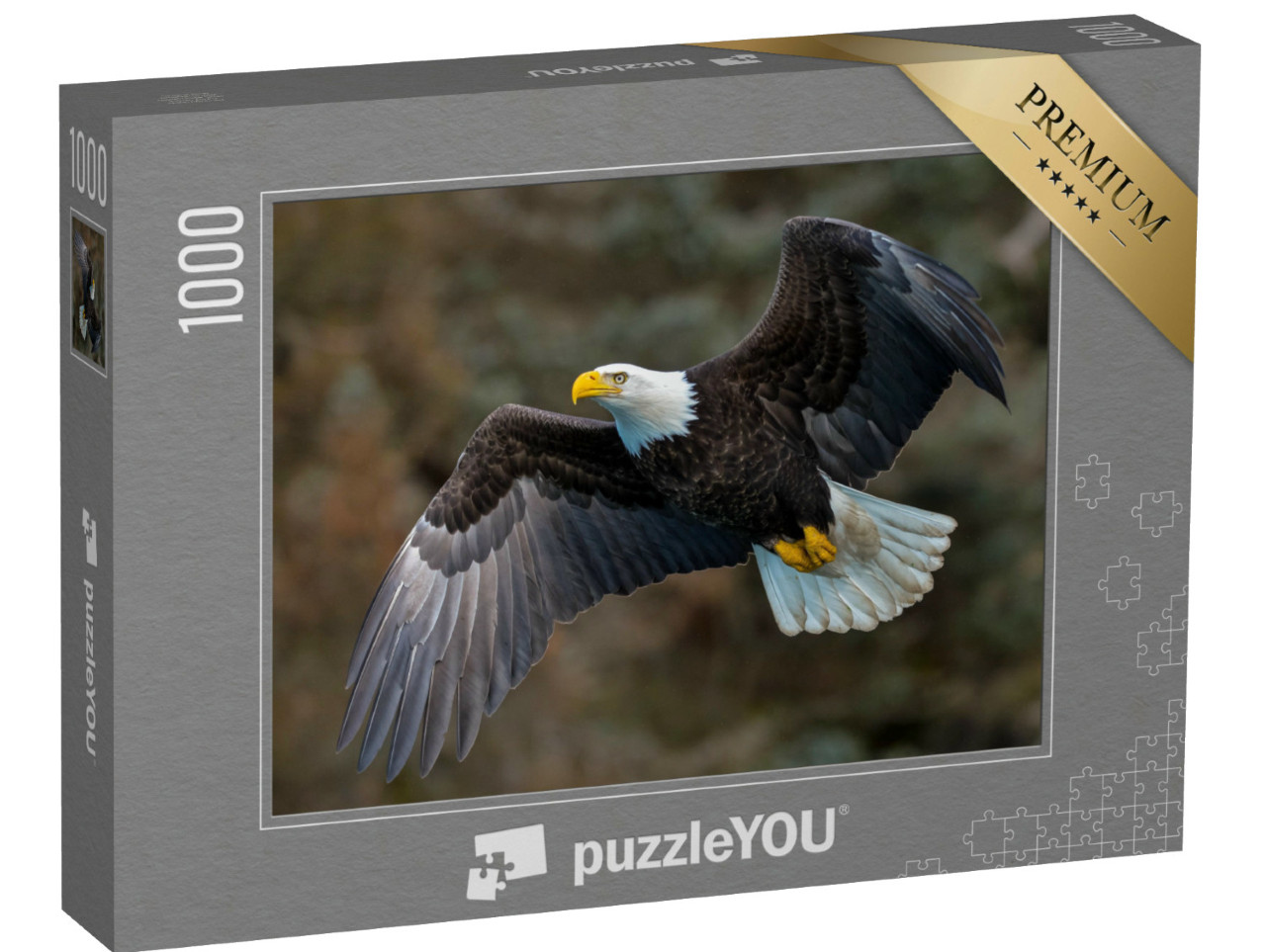 Puzzle 1000 Teile „Weißkopfseeadler fliegt an einem Berghang, Alaska“