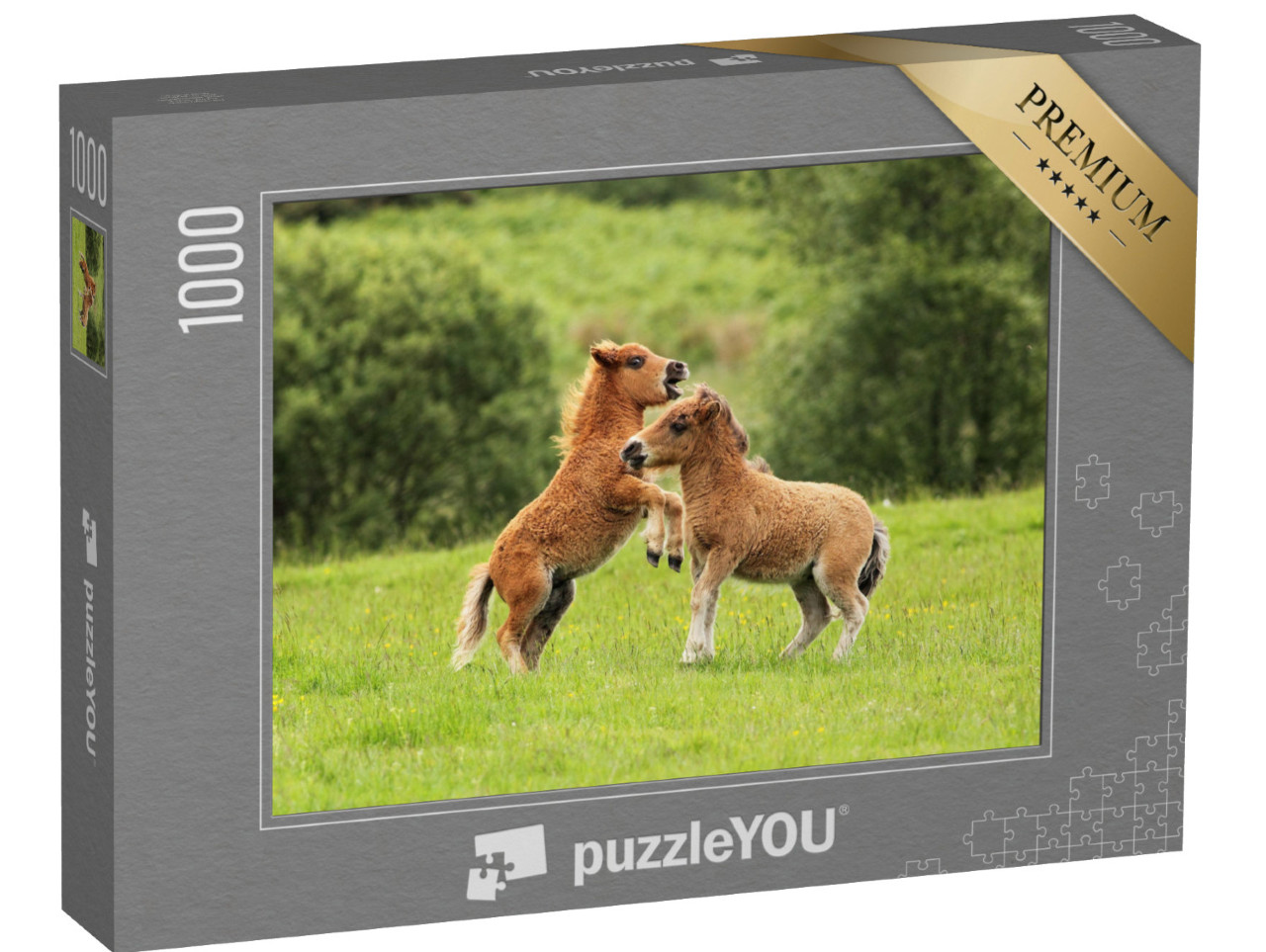 Puzzle 1000 Teile „Zwei Shetlandpony-Fohlen im Spiel“