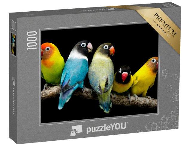 Puzzle 1000 Teile „Lovebird: Papagei mit prächtigen Farben“