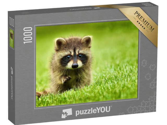 Puzzle 1000 Teile „Kleiner Waschbär im Gras“