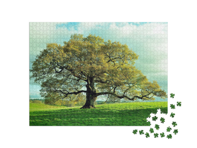Puzzle 1000 Teile „Alte Eiche auf einer englischen Wiese“