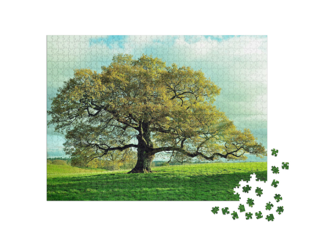 Puzzle 1000 Teile „Alte Eiche auf einer englischen Wiese“