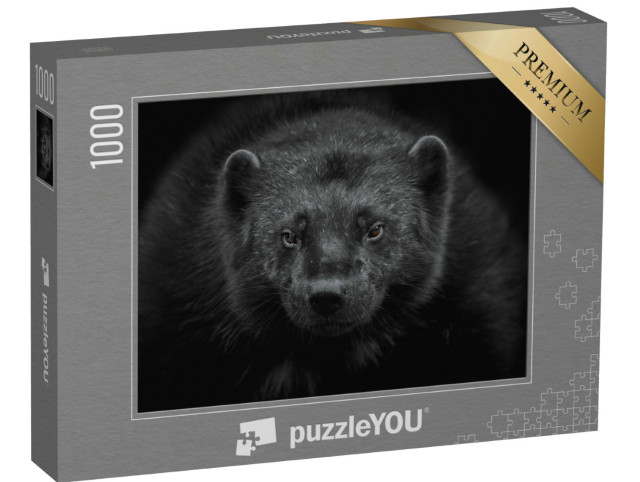 Puzzle 1000 Teile „Nahaufnahme eines Vielfraßes, Gulo gulo, der in die Kamera schaut“