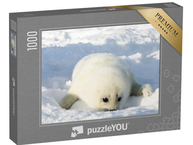 Puzzle 1000 Teile „Neugeborene, flauschig-weiße Robbe“