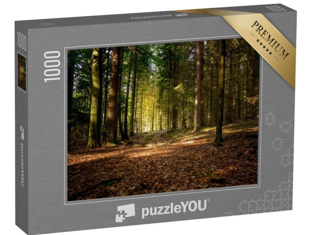 Puzzle 1000 Teile „Herbstsonne im bayerischen Wald, Deutschland“