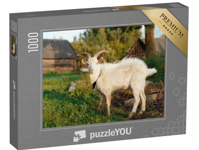 Puzzle 1000 Teile „Weiße Ziege auf dem Bauernhof, Haustier auf einer Wiese im Sommer“