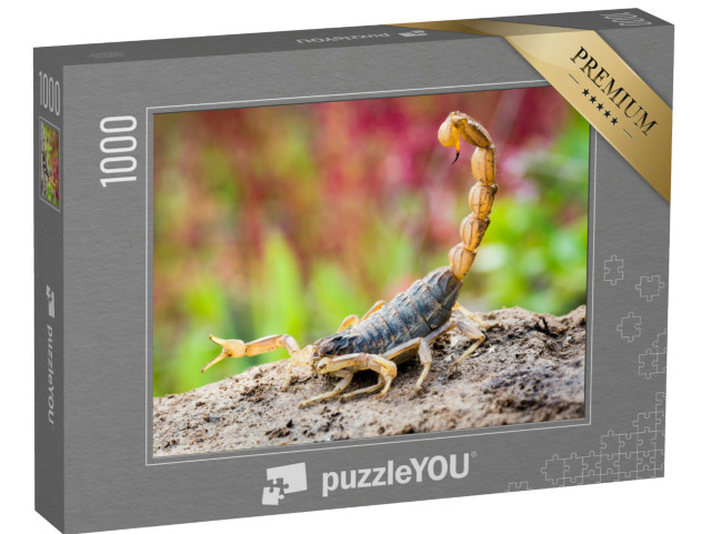 Puzzle 1000 Teile „Skorpion in Angriffsposition“