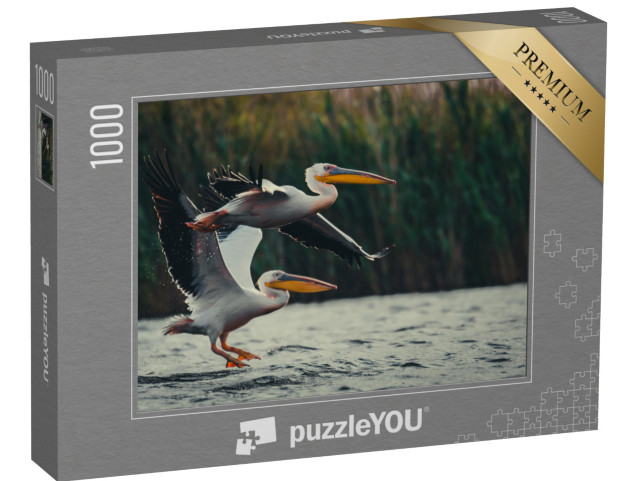 Puzzle 1000 Teile „Zwei Pelikane“