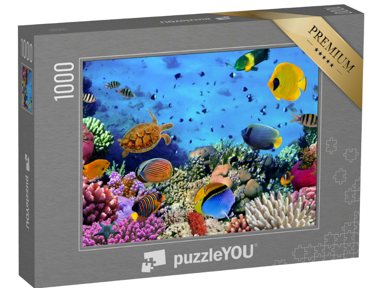 Puzzle 1000 Teile „Korallenkolonie im Roten Meer, Ägypten“