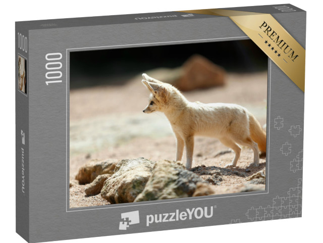 Puzzle 1000 Teile „Der Fennek-Fuchs, auch bekannt als Wüstenfuchs“