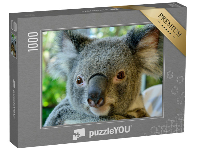 Puzzle 1000 Teile „Wunderschönes Porträt eines Koalas“