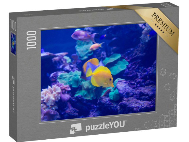Puzzle 1000 Teile „Meeresfische schwimmen im Aquarium“