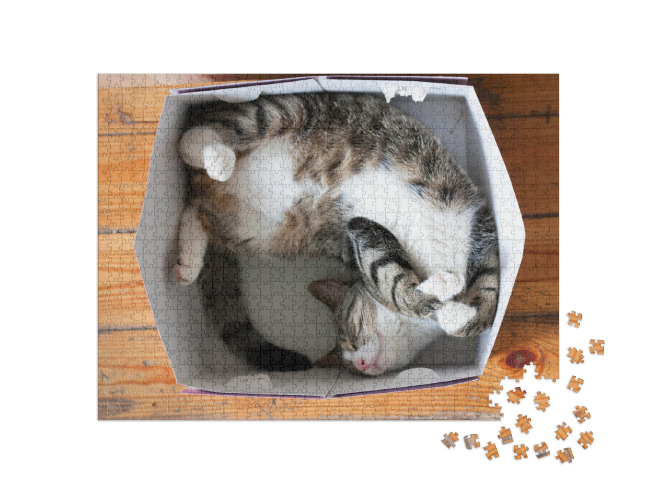 Puzzle 1000 Teile „Gestreifte schlafende Katze, Pappschachtel als Bett“
