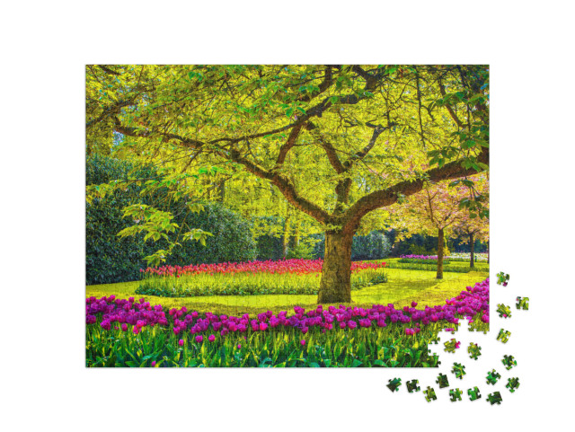 Puzzle 1000 Teile „Tulpen im Schatten eines alten Baumes, Keukenhof, Niederlande“