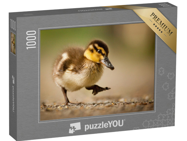 Puzzle 1000 Teile „Ente“