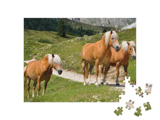 Puzzle 200 Teile „Drei Haflingerpferde auf einer Alm in Südtirol, Italien“