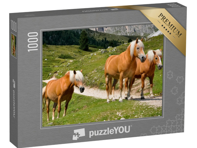 Puzzle 1000 Teile „Drei Haflingerpferde auf einer Alm in Südtirol, Italien“