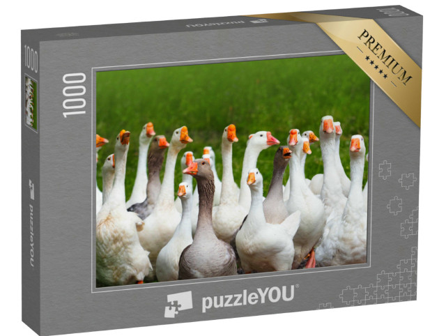 Puzzle 1000 Teile „Schnatternder Gänseschwarm“