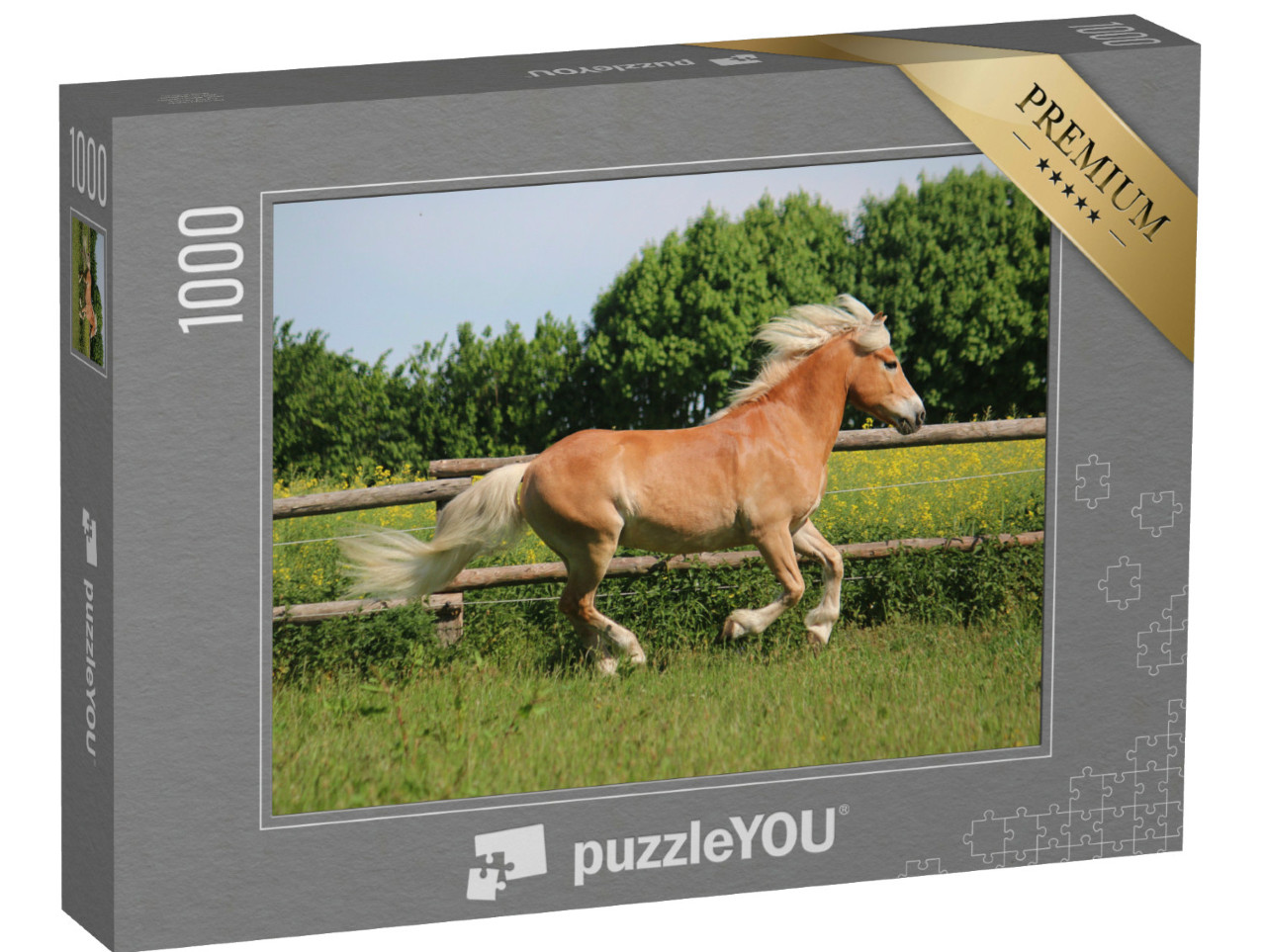 Puzzle 1000 Teile „Wunderschönes Haflingerpferd auf der Koppel“