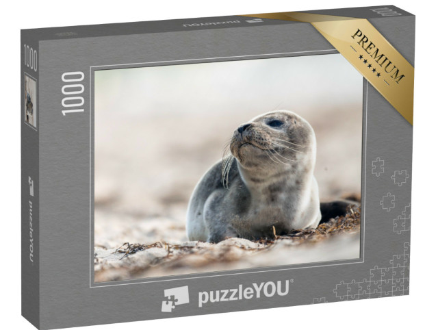 Puzzle 1000 Teile „Junge Robbe am Strand der Ostsee“