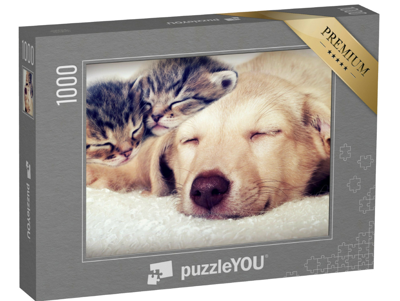 Puzzle 1000 Teile „Welpe und Kätzchen schlafen“