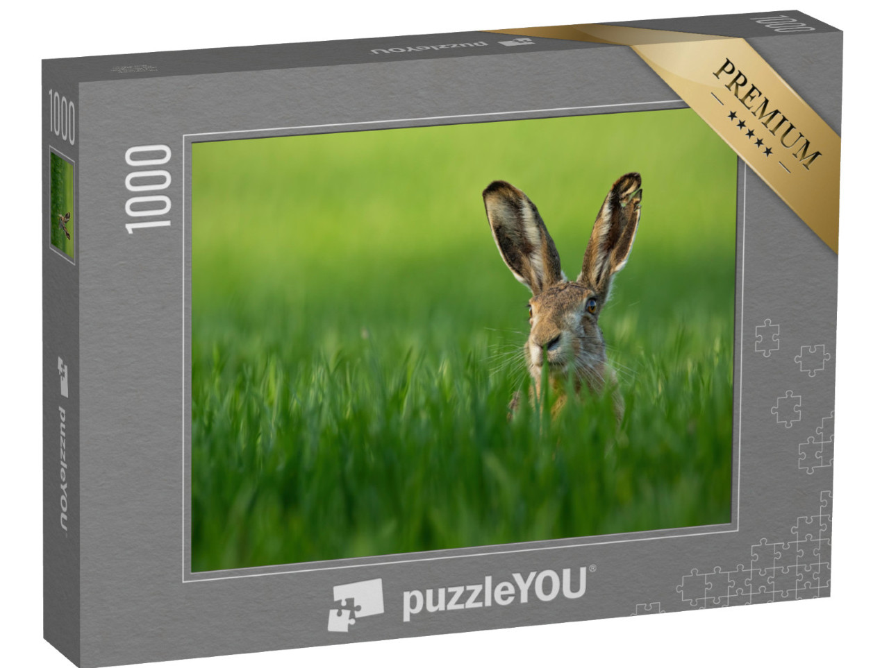 Puzzle 1000 Teile „Wilder Feldhase im grünen Gras“