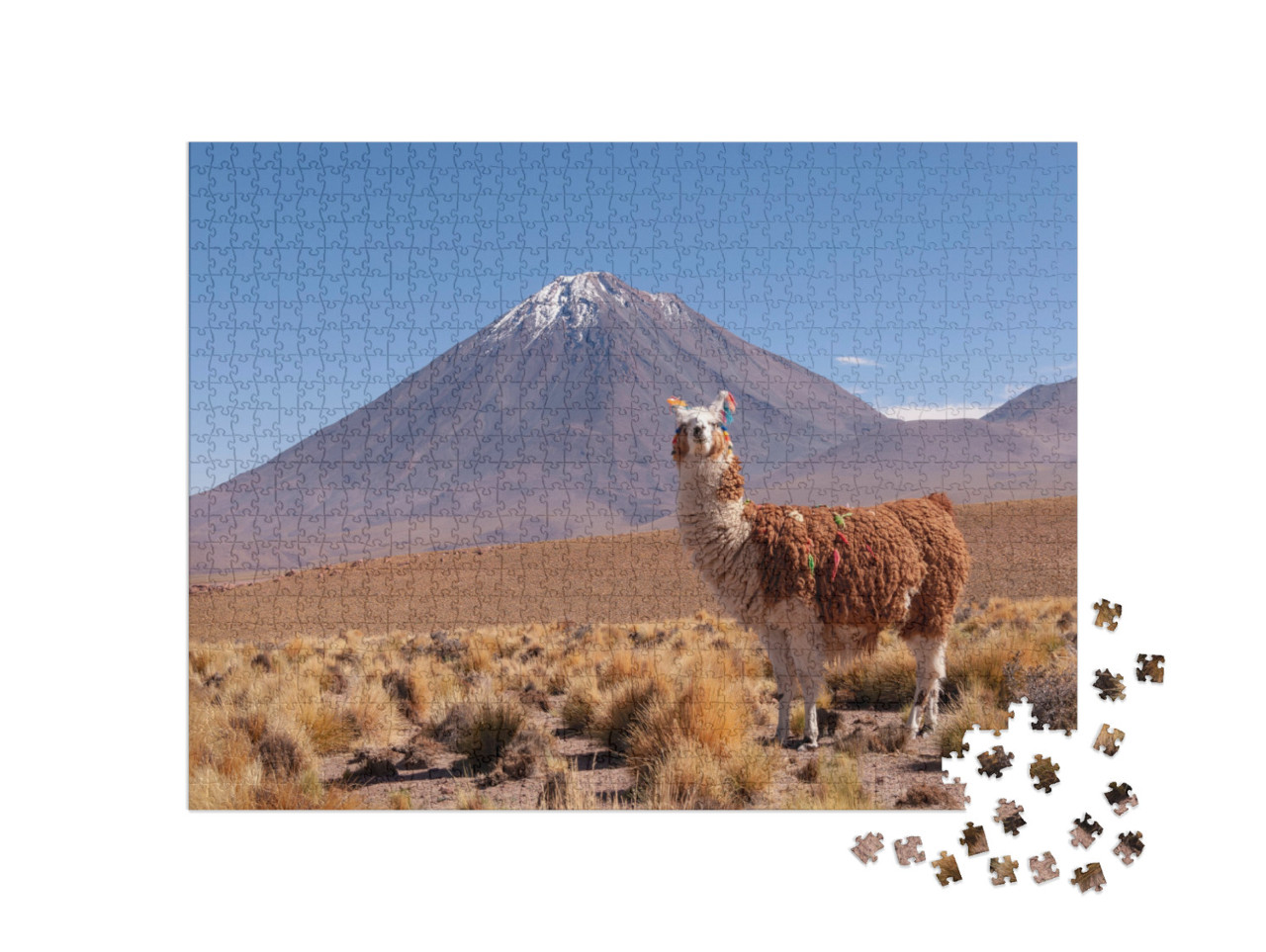 Puzzle 1000 Teile „Lama, hinter ihm der Vulkan Licancabur an der Grenze zwischen Bolivien und Chile“