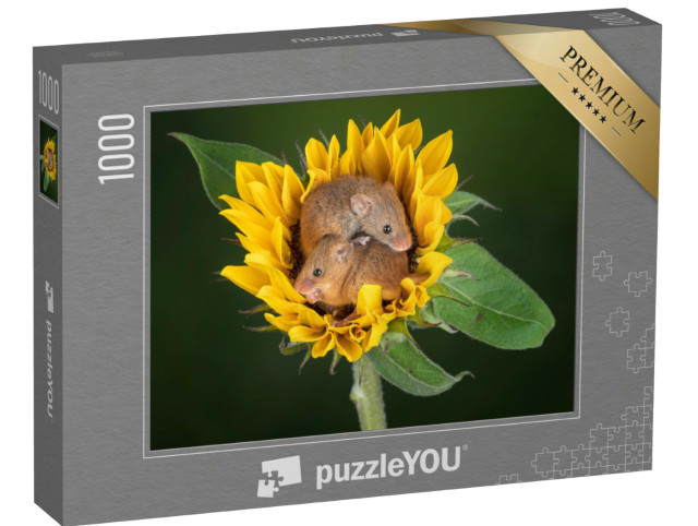 Puzzle 1000 Teile „Zwei Mäuse kuscheln sich in eine Sonnenblume“