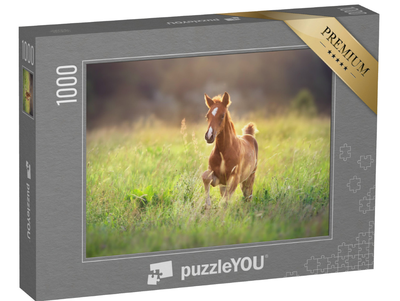 Puzzle 1000 Teile „Fohlen beim Galopp über die Weide“