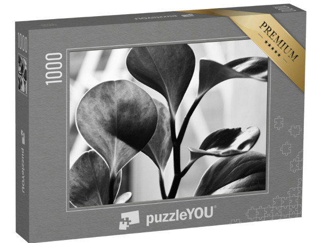 Puzzle 1000 Teile „Pflanzenfotografie: Detailaufnahme in Schwarz-Weiß“