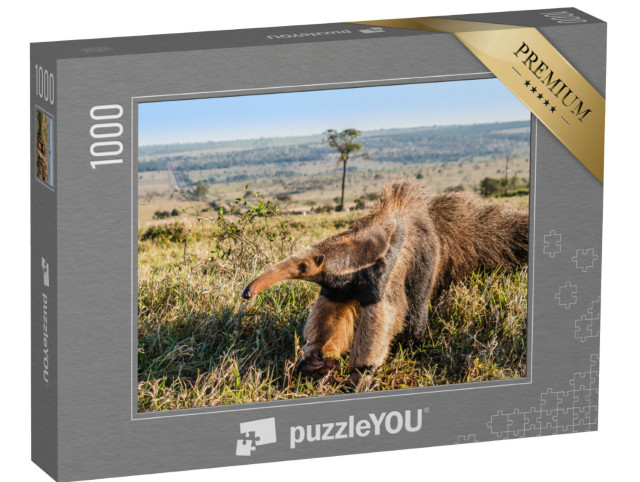 Puzzle 1000 Teile „Ein wilder Riesenameisenbär auf der Weide“