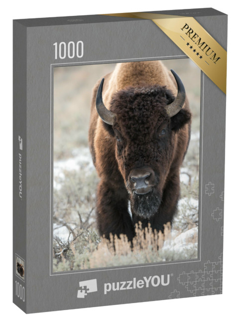 Puzzle 1000 Teile „Bison, Büffel“
